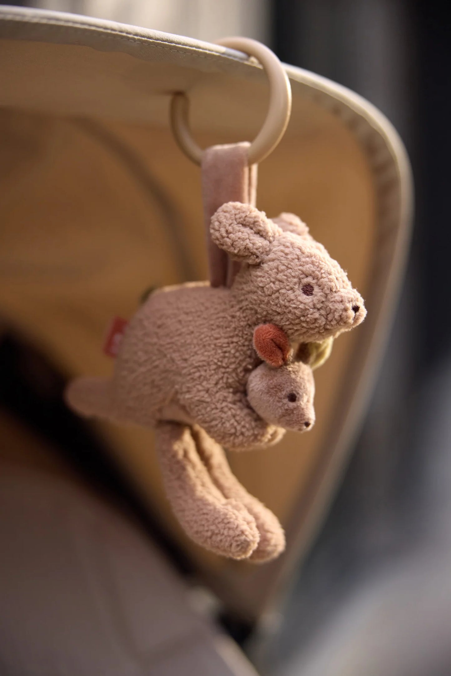 Jollein: wagenhanger kangaroots
