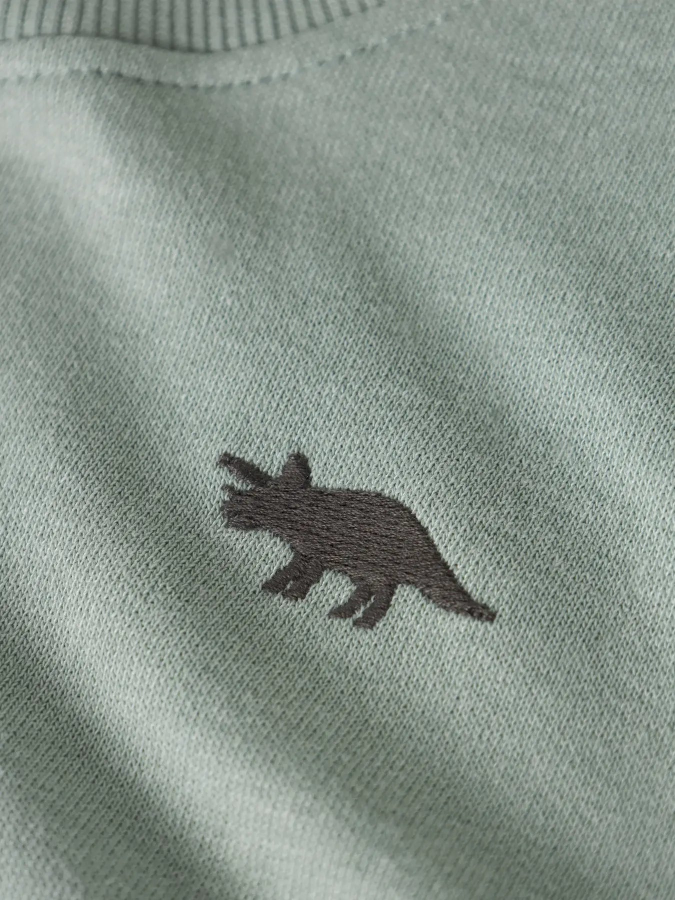 Name it: sweater green dino