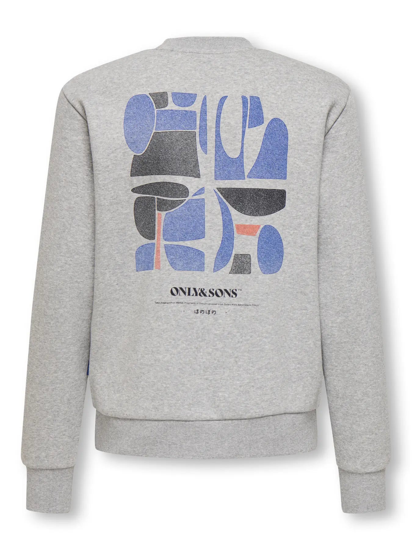 Only & Sons: Sweater with backprint