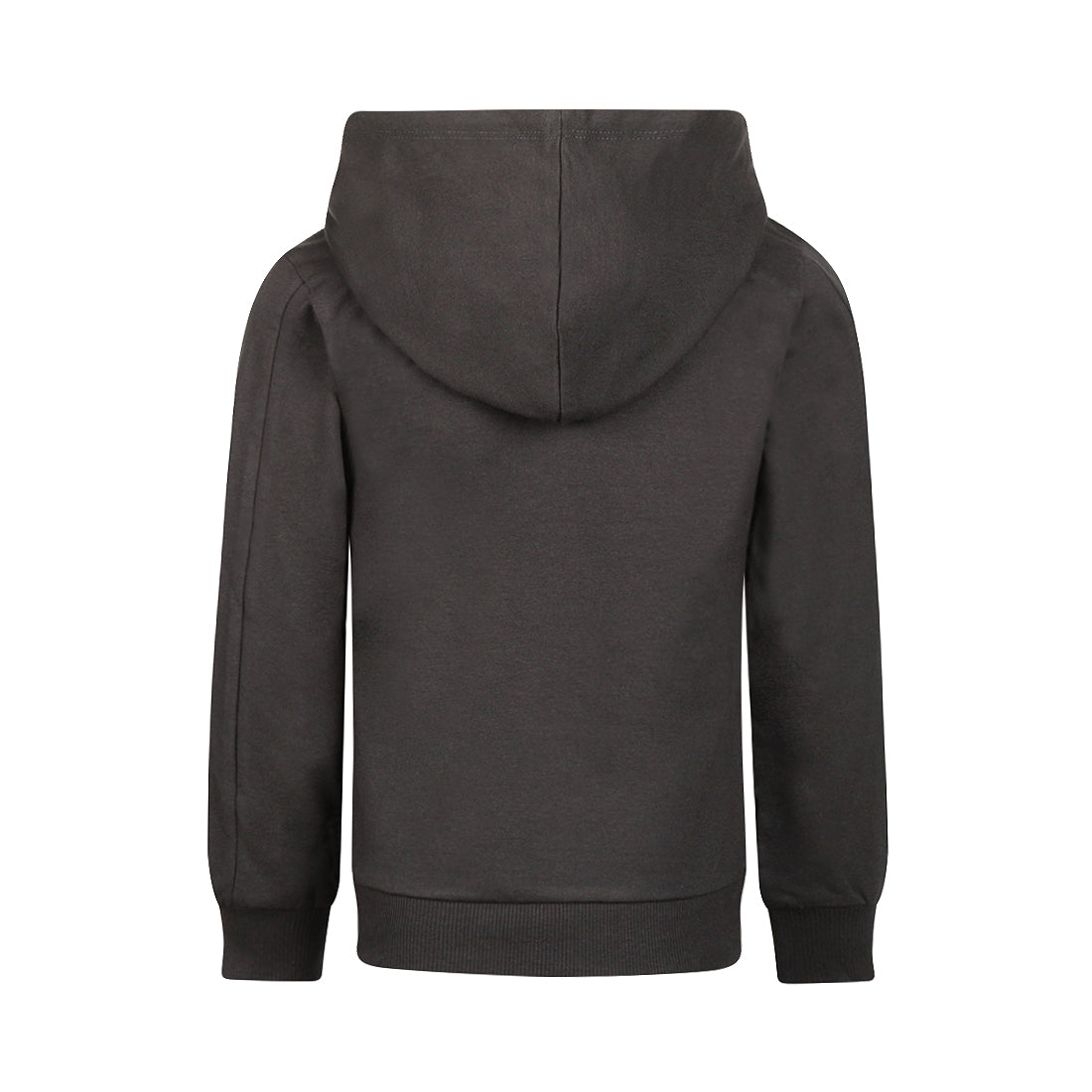 Koko Noko: Hoodie leeuw