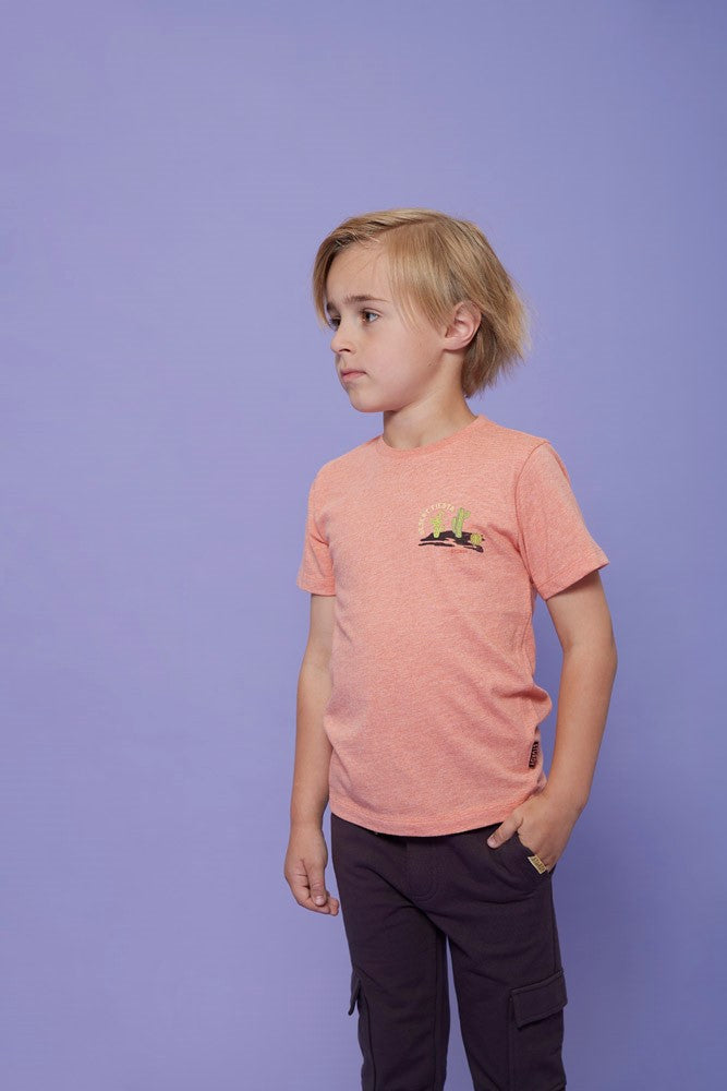 Sturdy: Desert Fiesta: Shirt coral