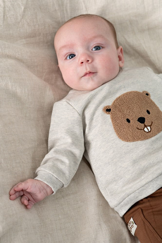 Feetje: Tiny Timber Tales: sweater grijs bever