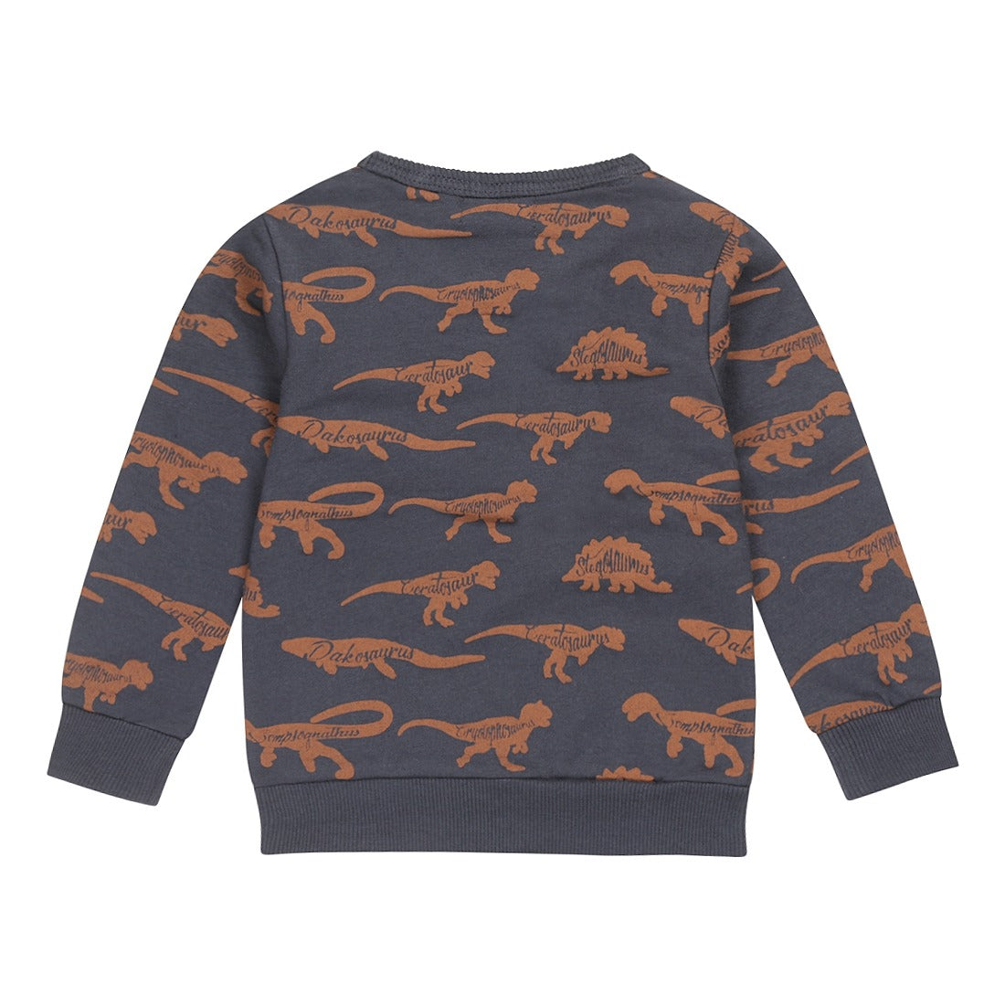 Dirkje: sweater dark blue dino's