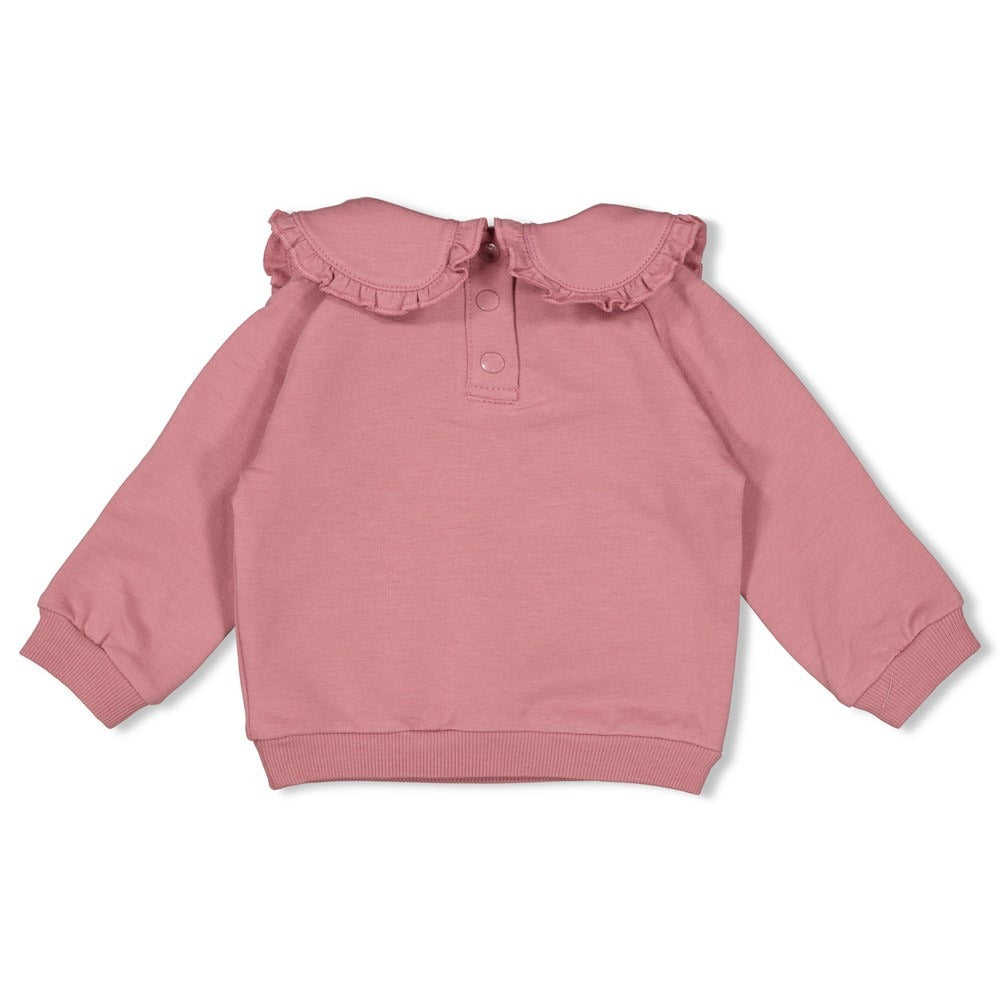 Feetje:Swanlake: sweater mauve kraag