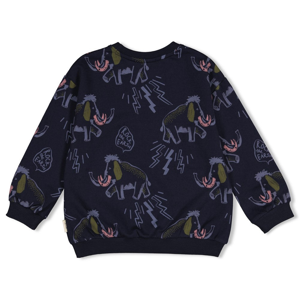 Sturdy:Rock The Earth: Sweater AOP relaxed fit