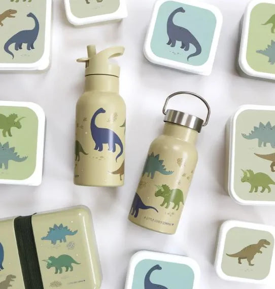 A Little Lovely Company:RVS Drinkfles: 500 ml dinosaurussen