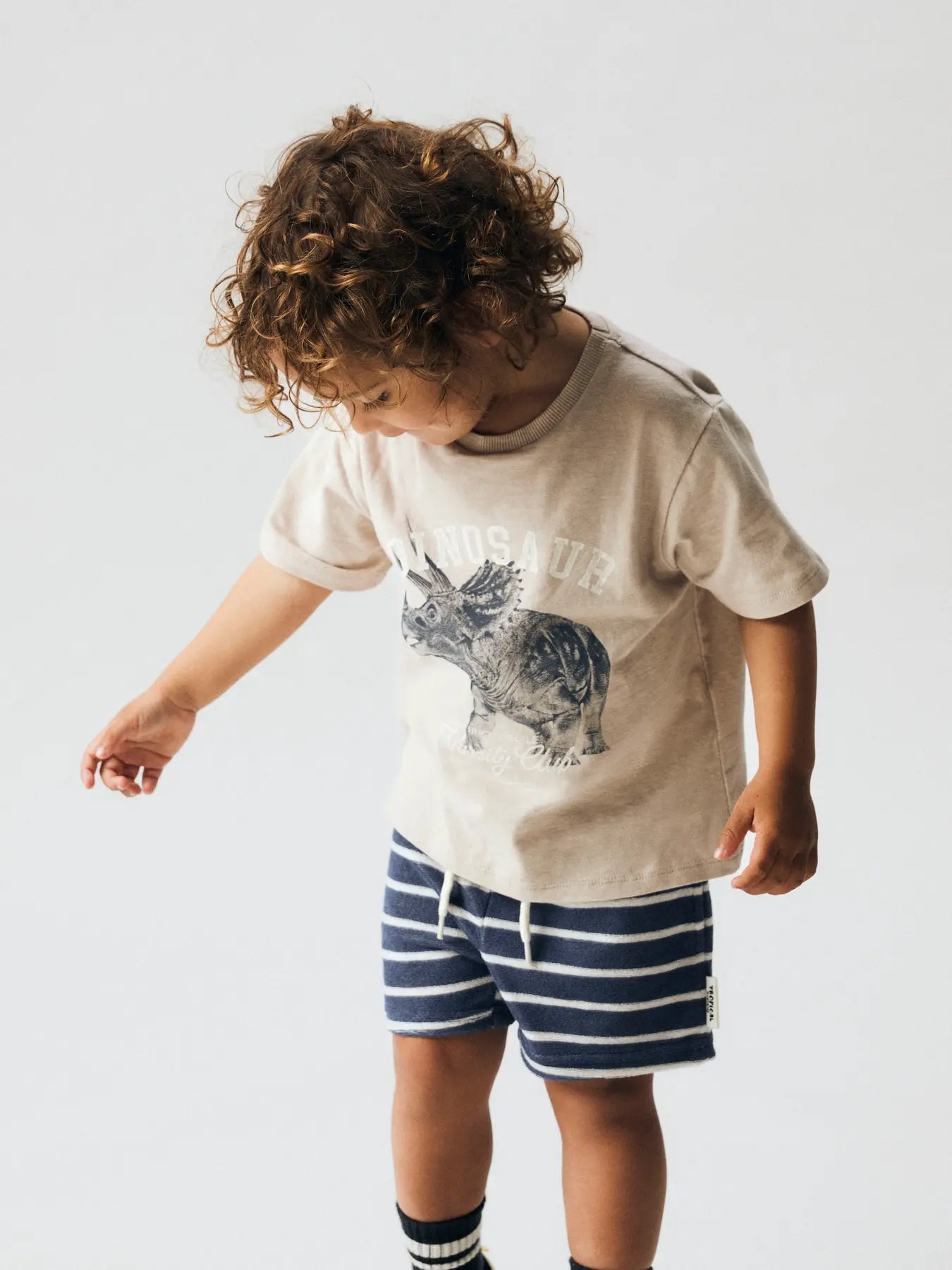 Name it: Shirt dino zand