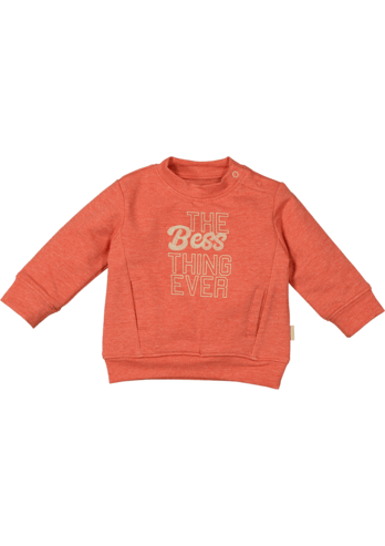 Bess:sweater "Bess Thing": burnt sienna
