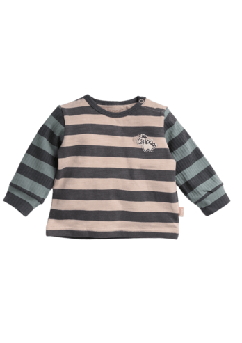 Bess:shirt striped dino