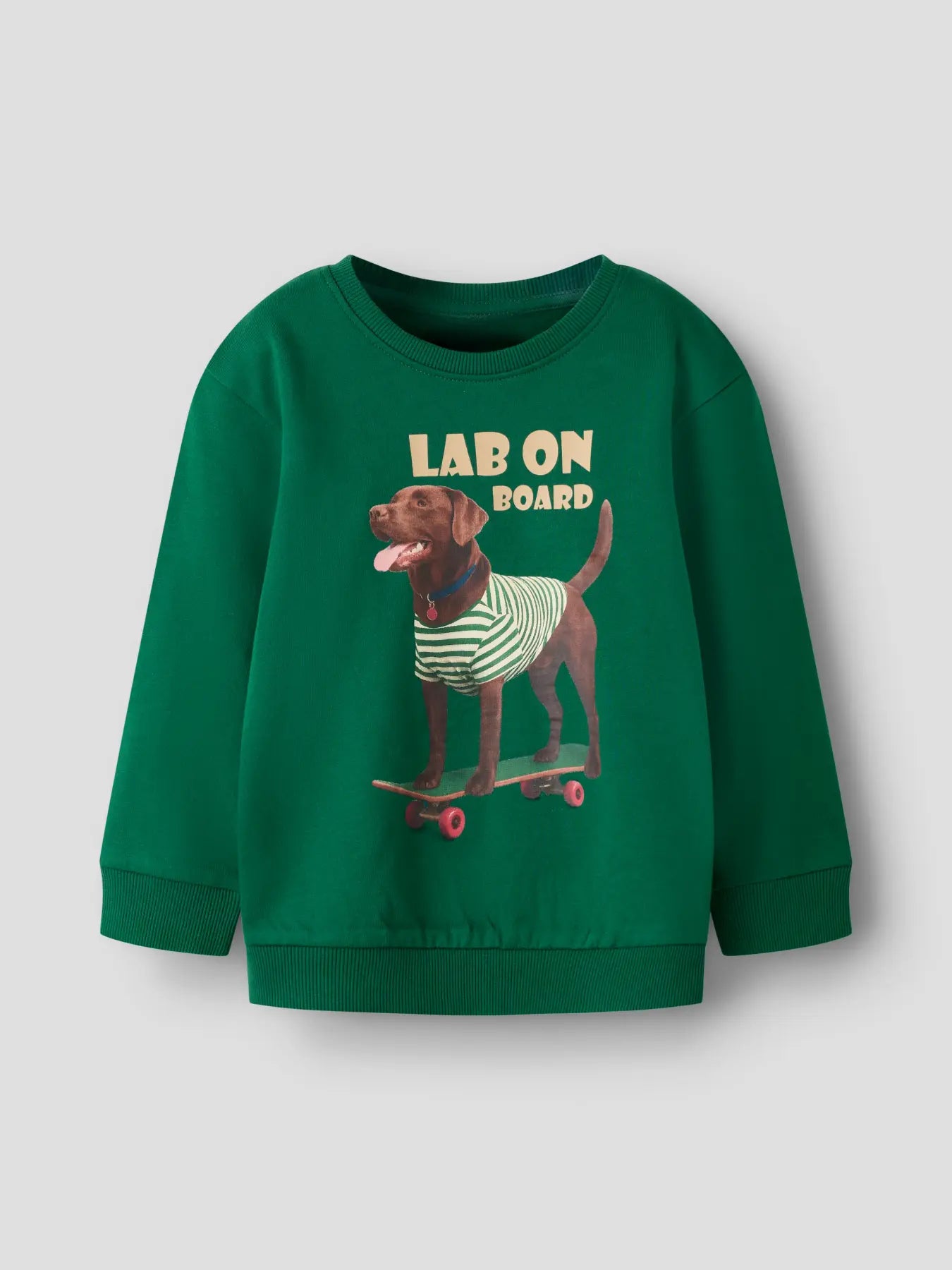 Name it: sweater dog on skateboard