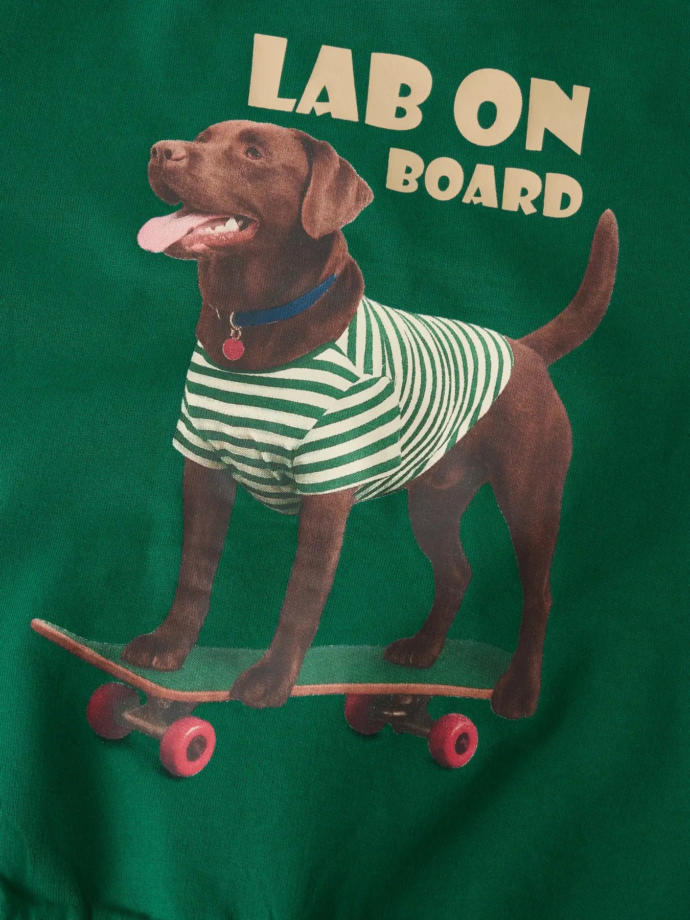 Name it: sweater dog on skateboard