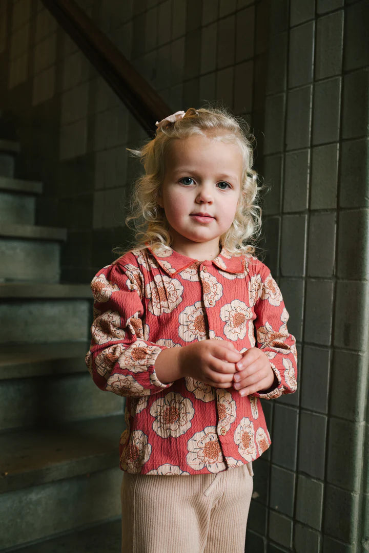 Riffle Amsterdam: pants knit old rose