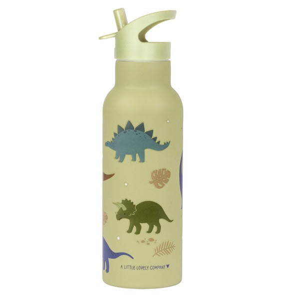 A Little Lovely Company:RVS Drinkfles: 500 ml dinosaurussen