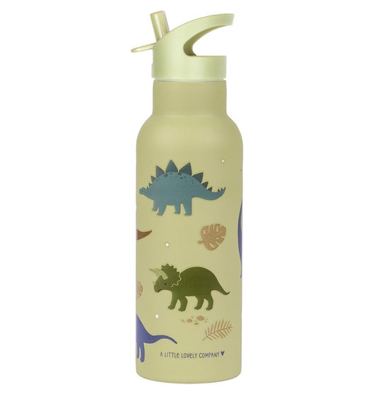 A Little Lovely Company:RVS Drinkfles: 500 ml dinosaurussen