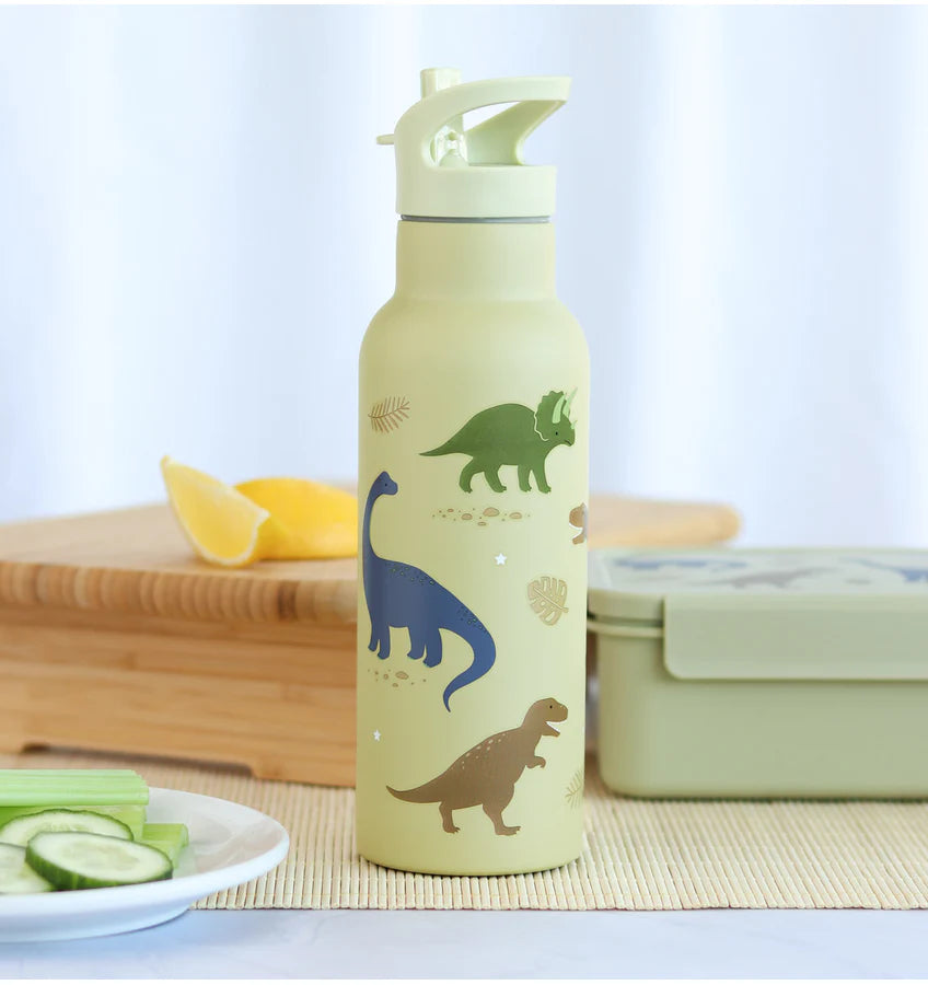 A Little Lovely Company:RVS Drinkfles: 500 ml dinosaurussen
