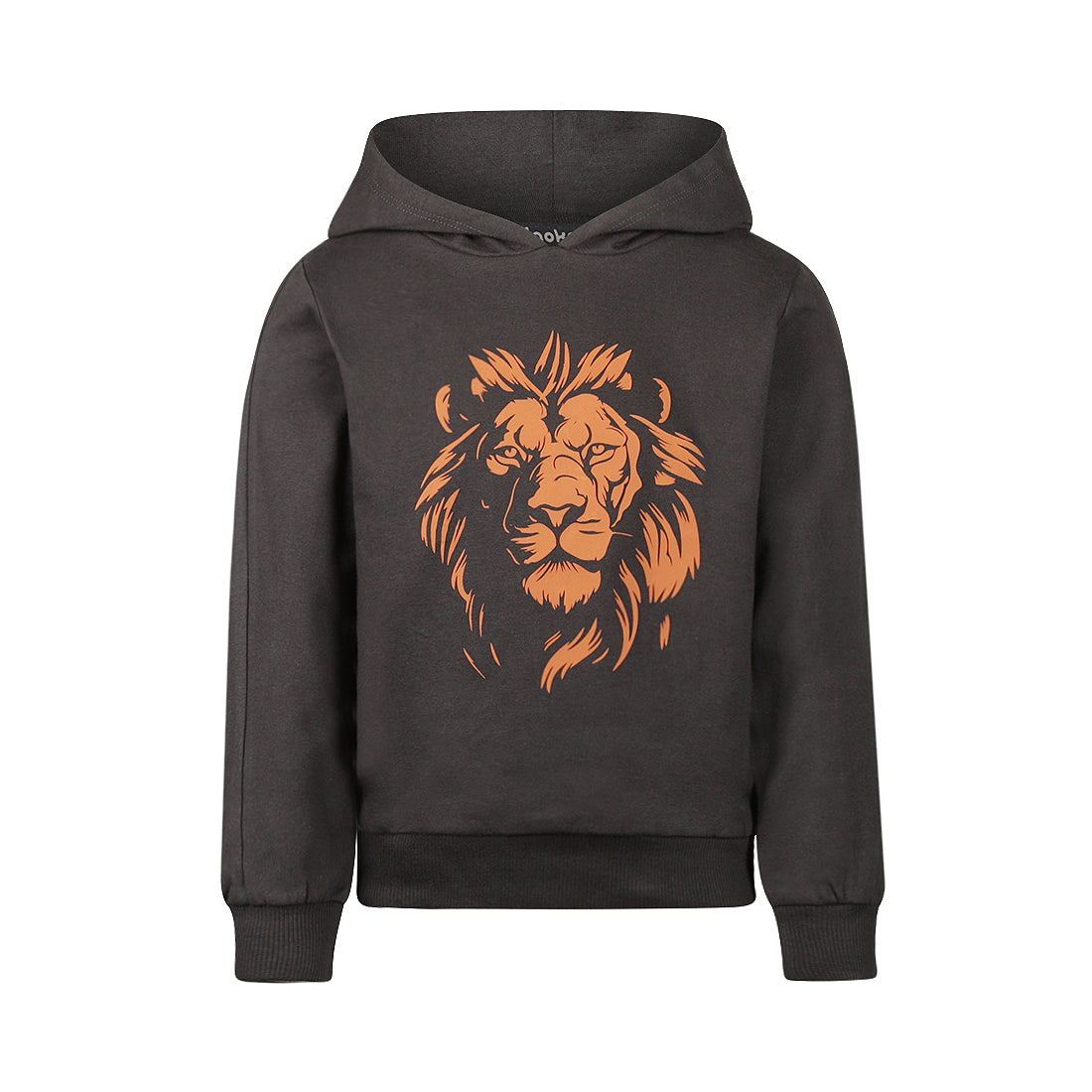 Koko Noko: Hoodie leeuw