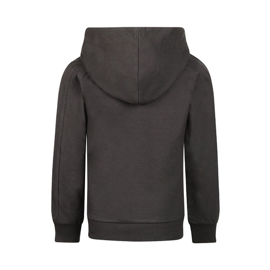 Koko Noko: Hoodie leeuw