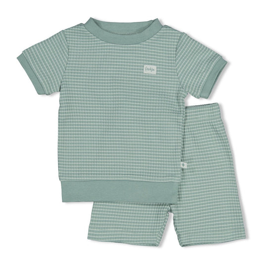 Feetje: summer special:zeegroen