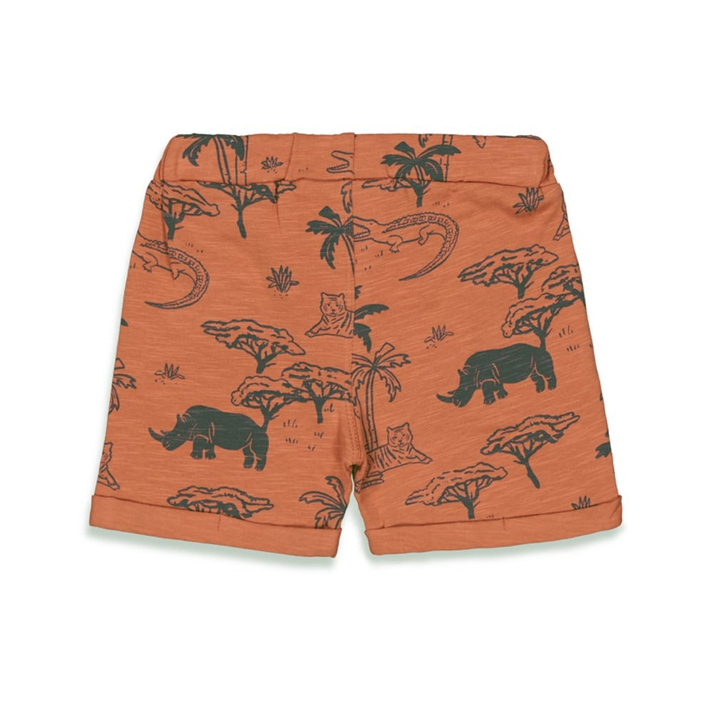 Feetje:Wild one: short brique