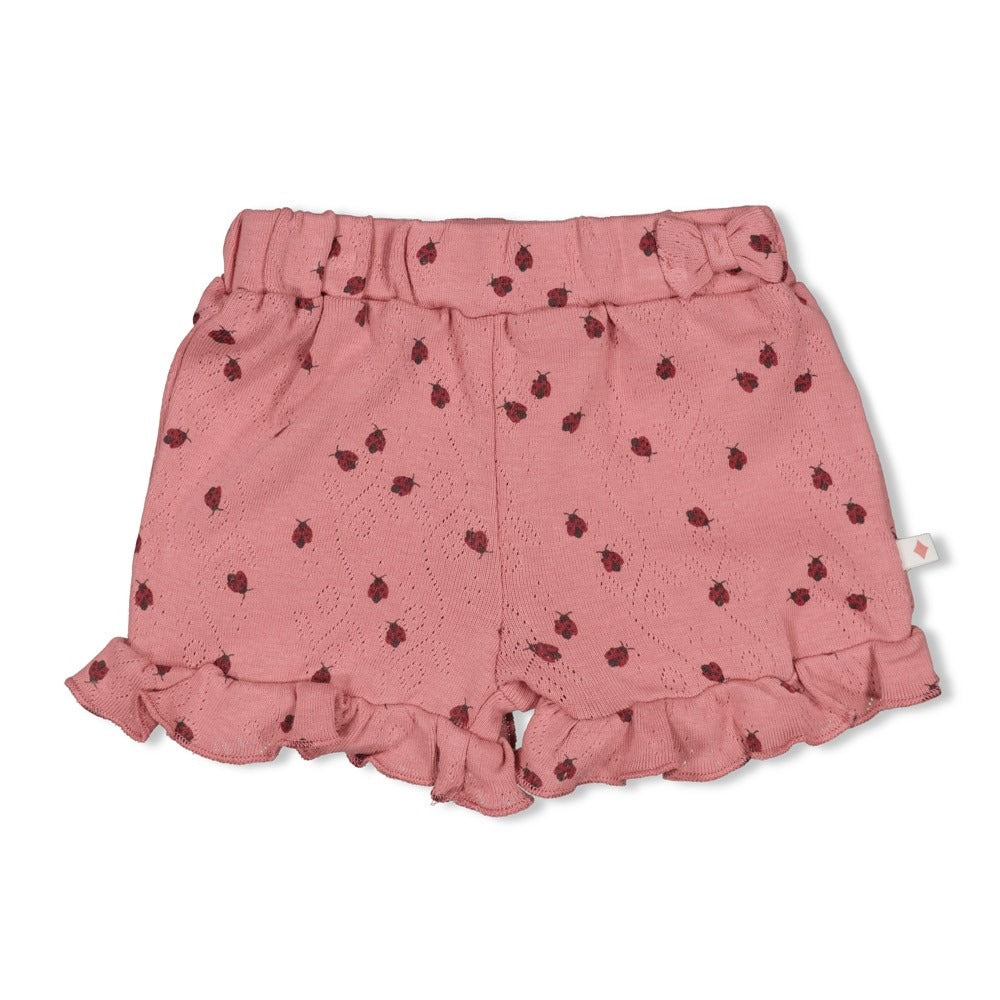Feetje:Ladybug:short ajour rib