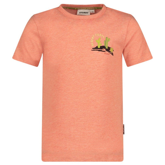 Sturdy: Desert Fiesta: Shirt coral