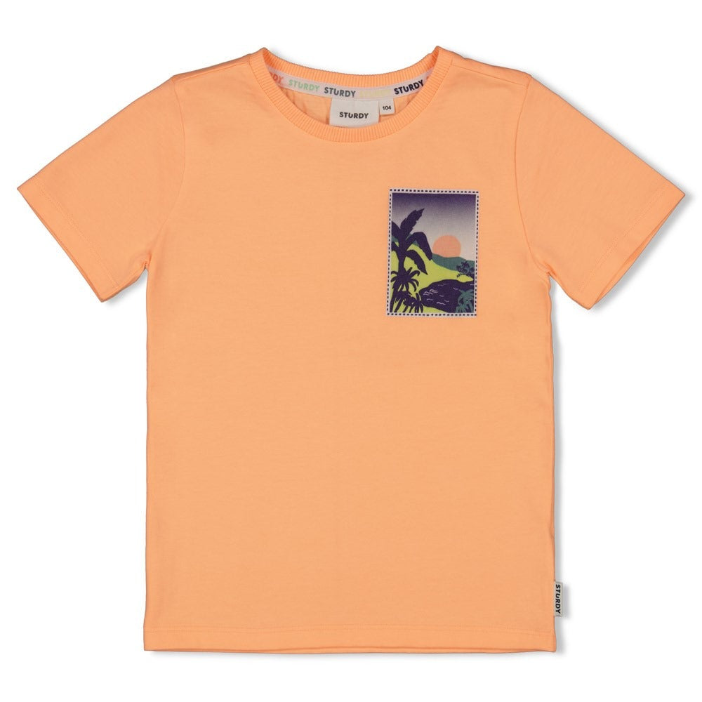 Sturdy:Lagoon Legends: shirt neon orange
