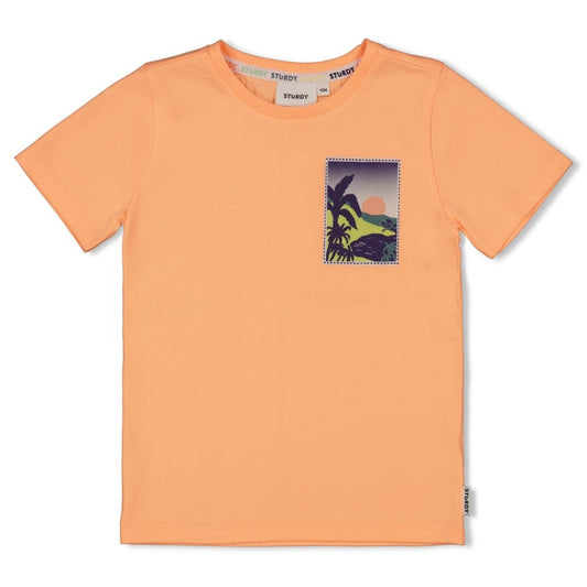 Sturdy:Lagoon Legends: shirt neon orange