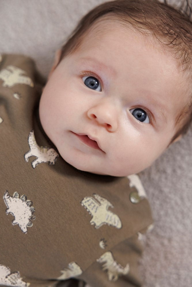 Feetje: Rawrsome: sweater olive dino