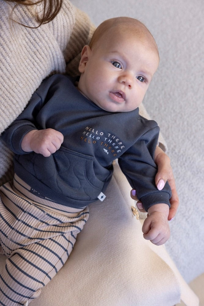Feetje:Narwal: sweater blue grey