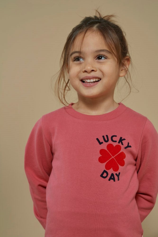 Jubel: Queen of hearts: sweater roze with backprint