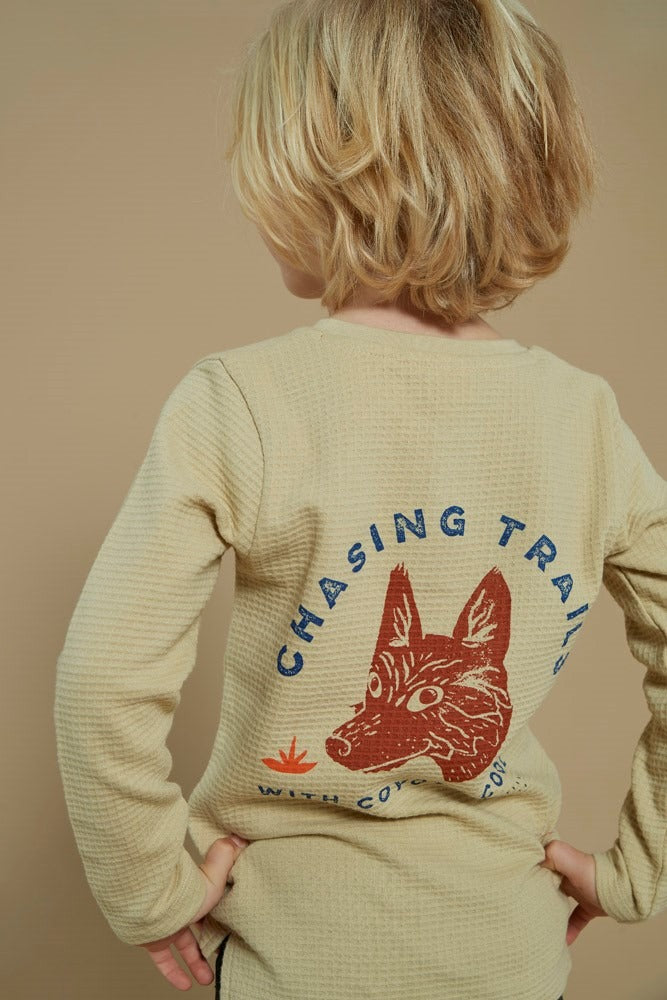 Sturdy: Chasing Trails: Ls beige with backprint
