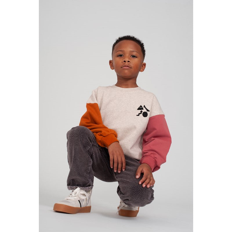 Sturdy:Mountain top: sweater met backprint oversized