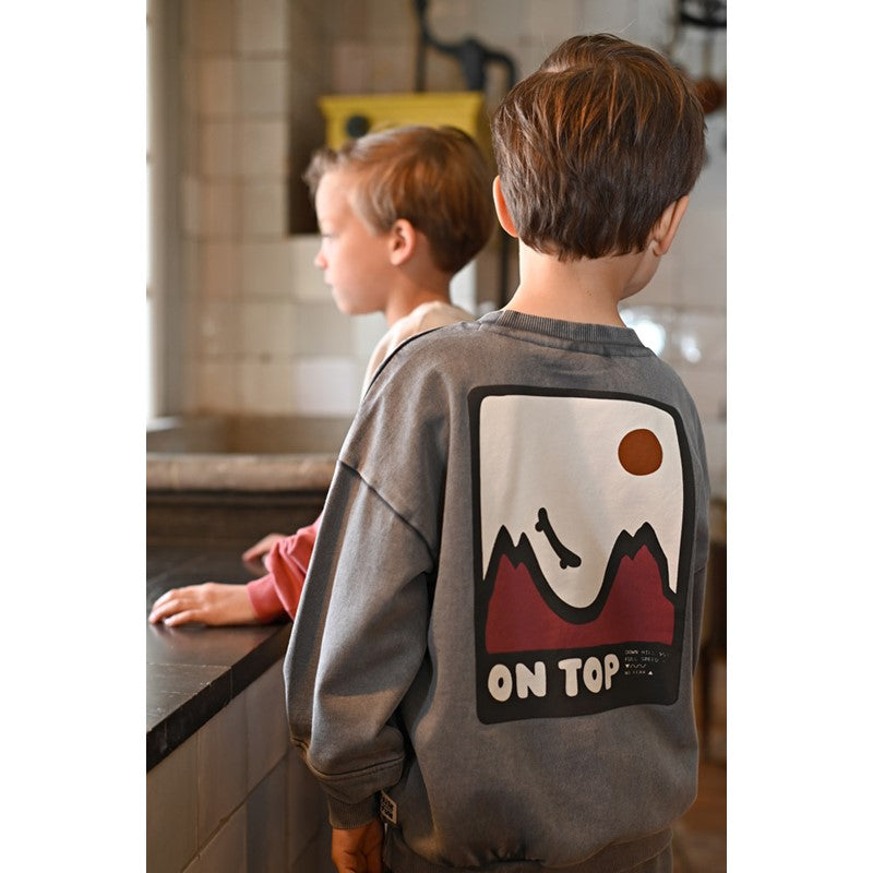 Sturdy:Mountain top: sweater met backprint grijs