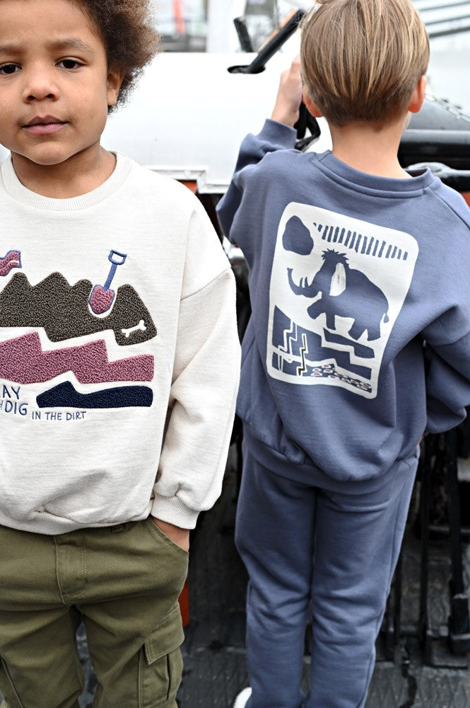 Sturdy:Rock The Earth: Sweater met backprint oversized