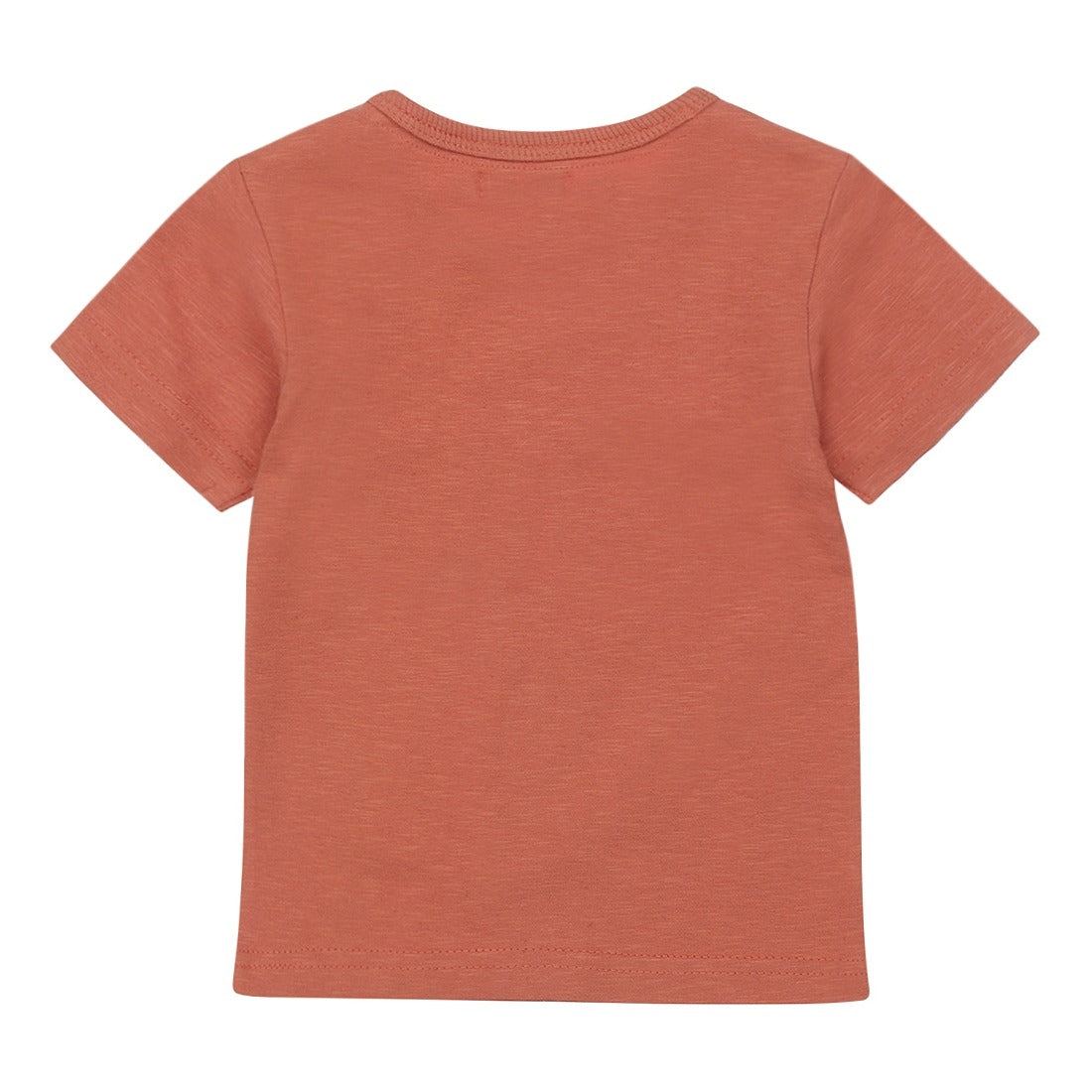 Dirkje: shirt roest "explore"