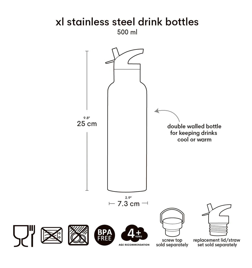 A Little Lovely Company:RVS Drinkfles: 500 ml dinosaurussen