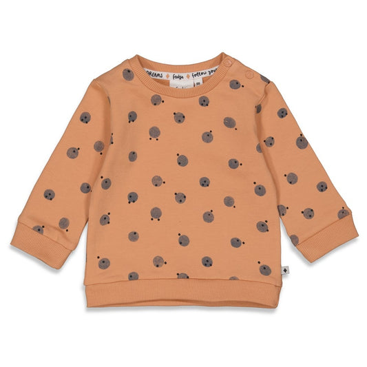 Feetje: Dotty: sweater AOP perzik
