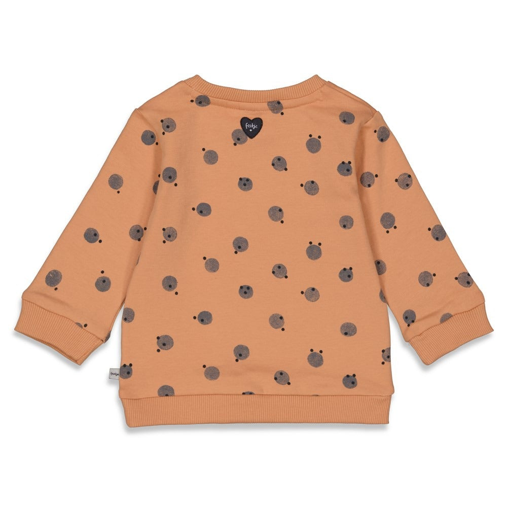 Feetje: Dotty: sweater AOP perzik