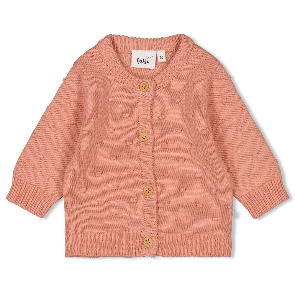 Feetje:sending love: vestje gebreid: terra pink