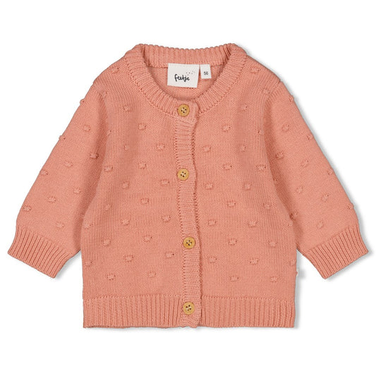 Feetje:sending love: vestje gebreid: terra pink