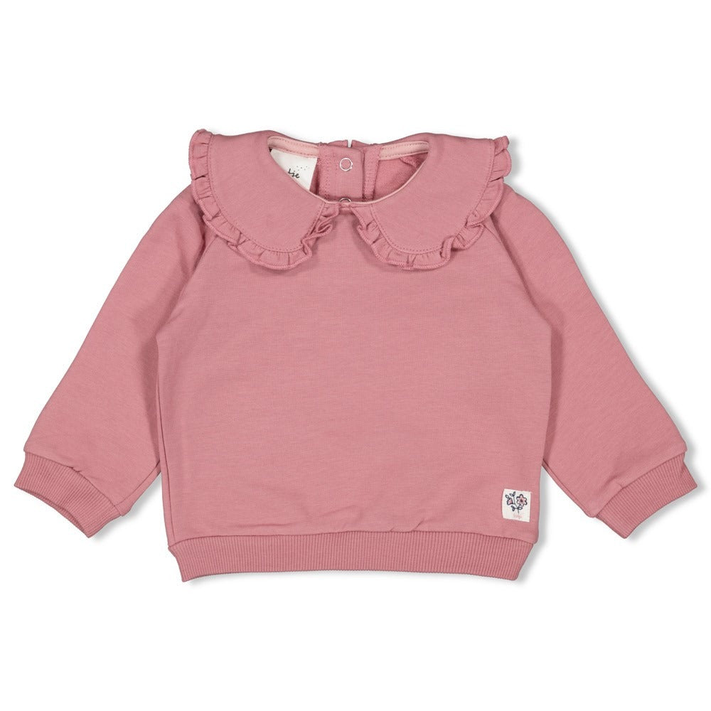 Feetje:Swanlake: sweater mauve kraag