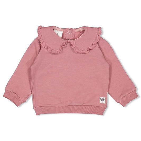 Feetje:Swanlake: sweater mauve kraag