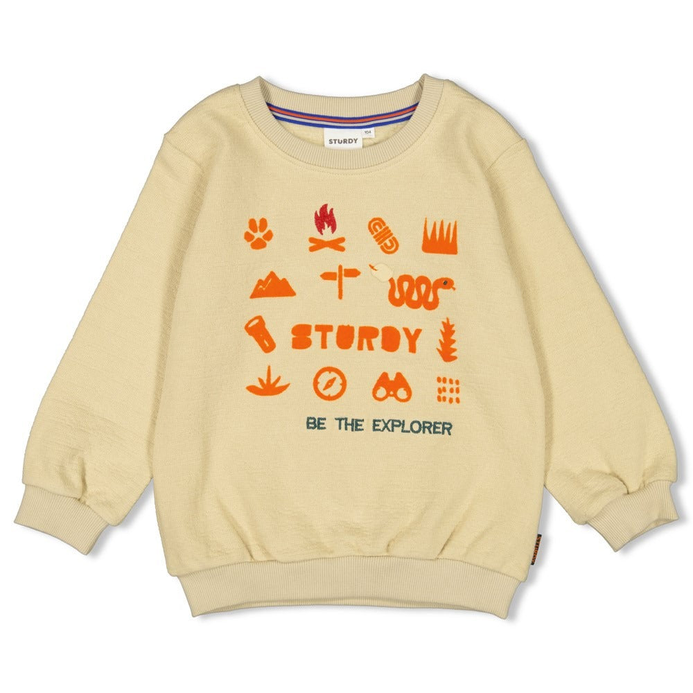 Sturdy: Chasing Trails: sweater beige snake