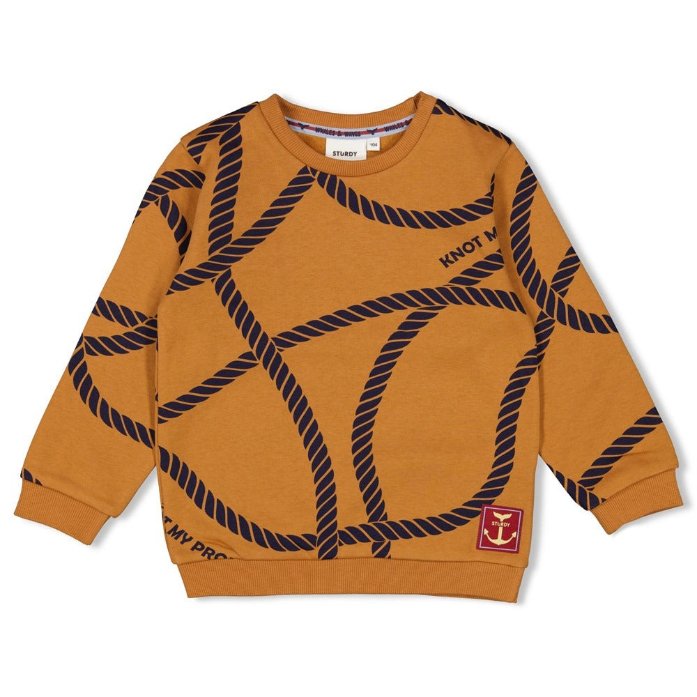 Sturdy: Whales en Waves: sweater hazelnoot
