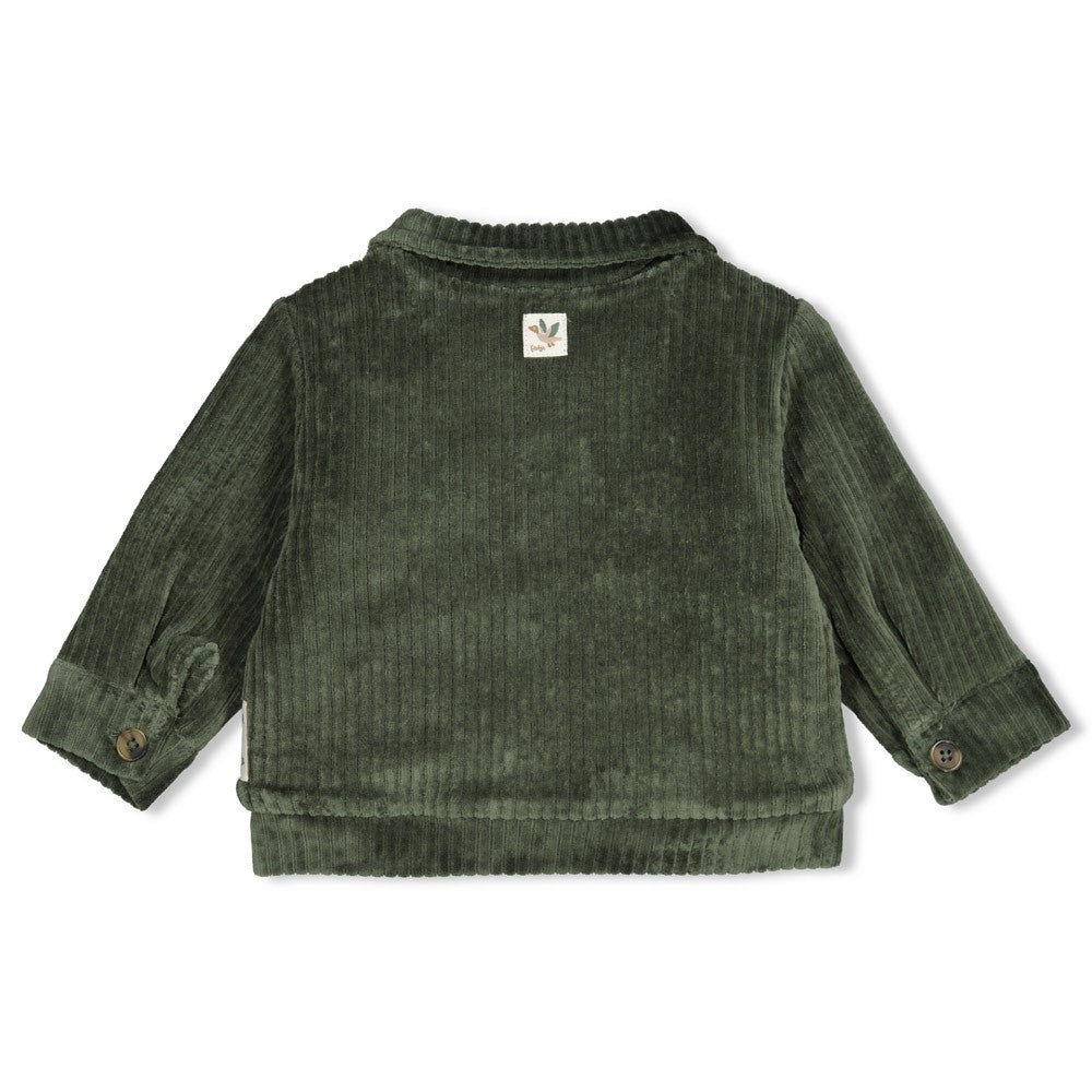 Feetje: Wiggle and waggle:Jasje Velours rib groen