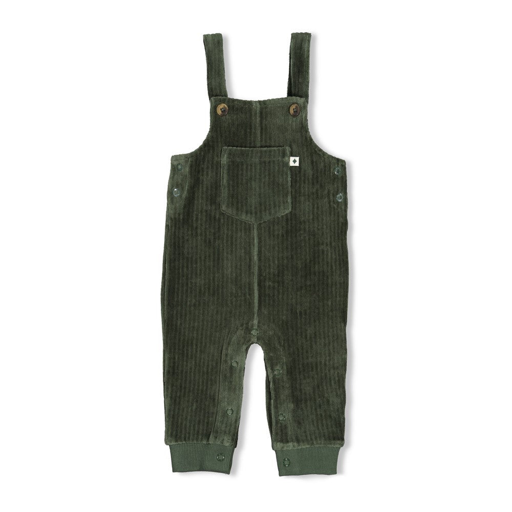 Feetje: Wiggle and waggle: Tuinbroek velours rib groen