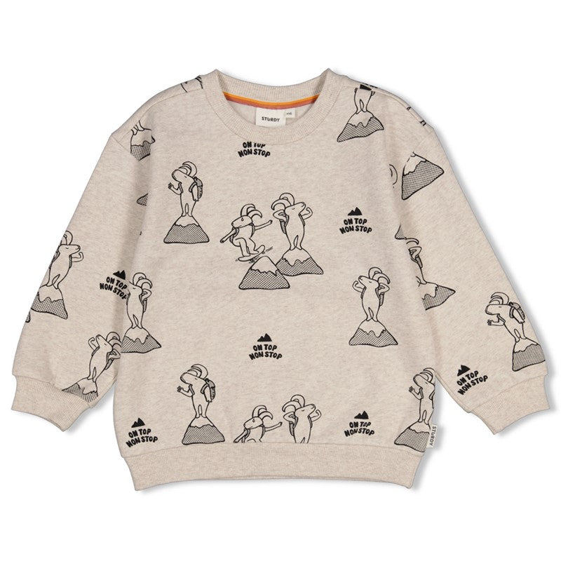 Sturdy:Mountain top: sweater AOP relaxed fit