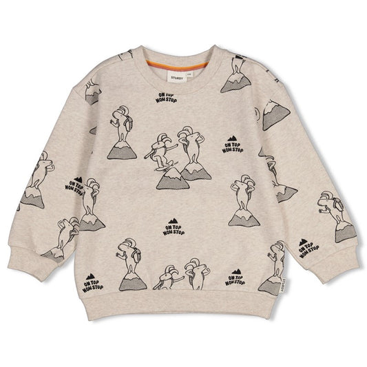 Sturdy:Mountain top: sweater AOP relaxed fit