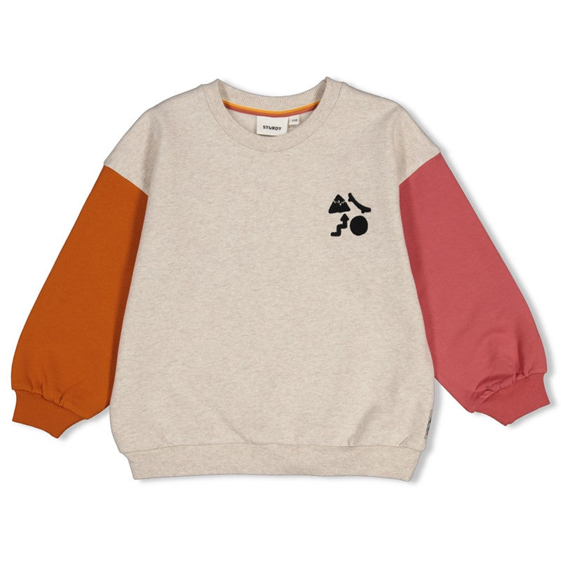 Sturdy:Mountain top: sweater met backprint oversized