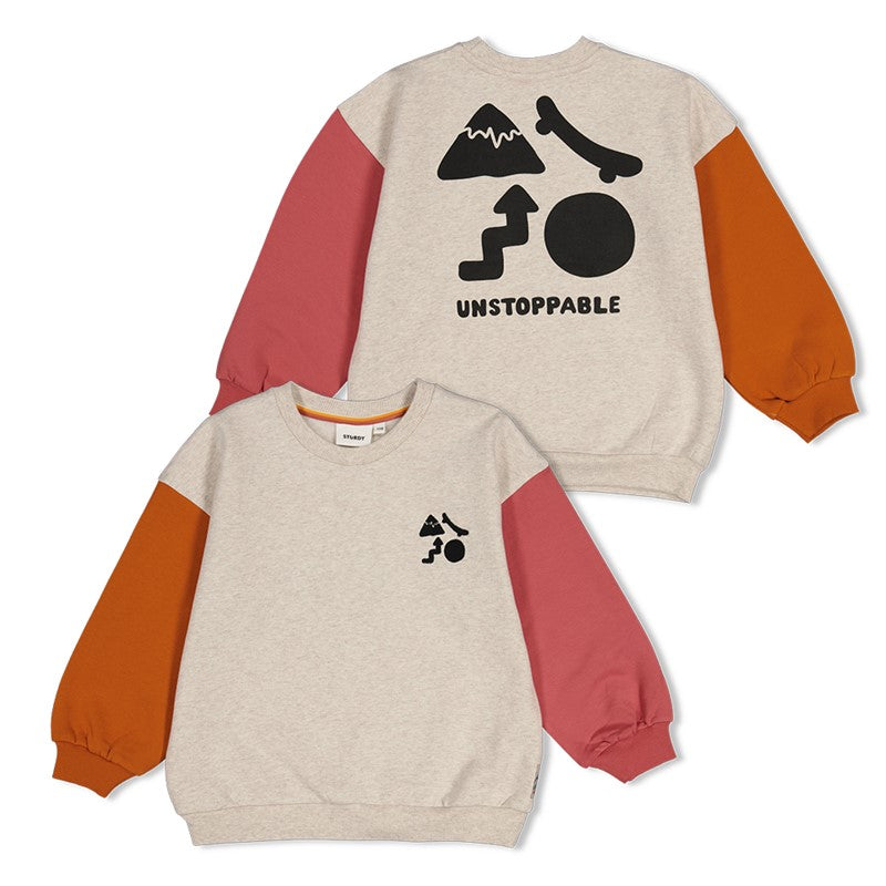 Sturdy:Mountain top: sweater met backprint oversized